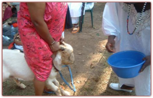 Mama Zogbe in Ceremony. 